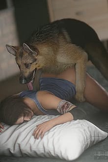 Sex with a dog certainly won't help the wound heal faster, but it will definitely make you forget about the pain for a while'
